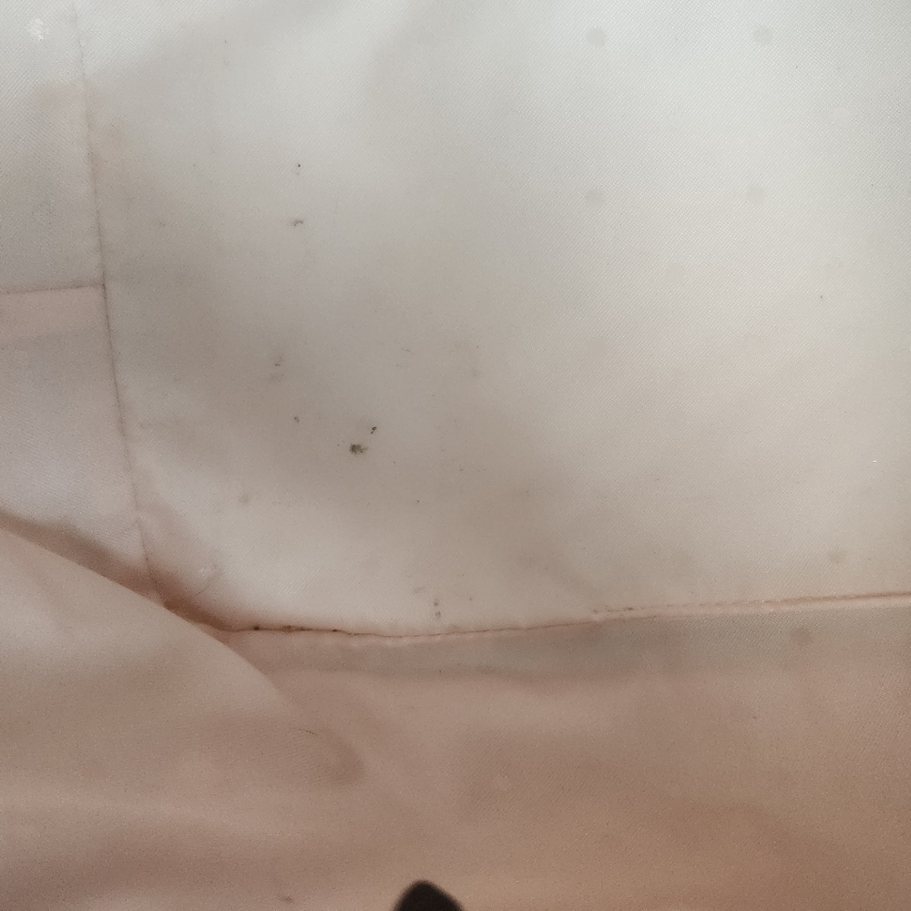 Kate Spade Tote - Picture 4 of 10